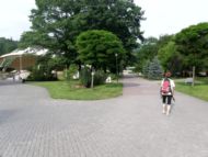 Centrum Wisly.