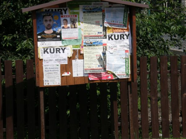 Kury