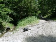 Fotogalerie z akce Čantoryje-Wisla - červen 2013