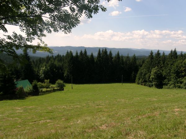Panoráma