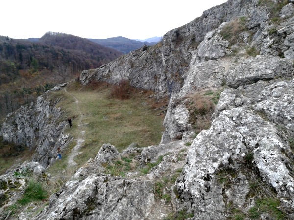 Skály