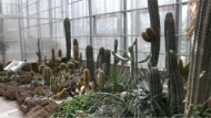 Arboretum