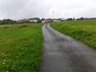 Hrčava