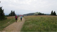 Orlický hřeben