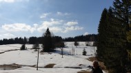 Zlatník_2019