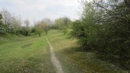 Sraříč_duben_2019