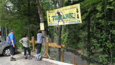 Tarzanie